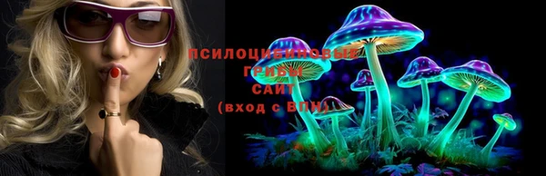 прущий лед Алексеевка