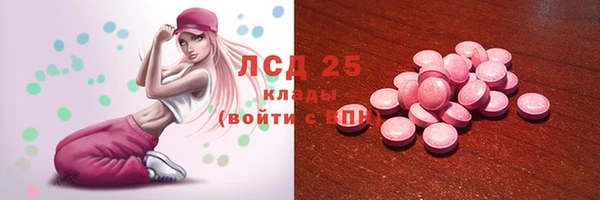 стаф Алзамай
