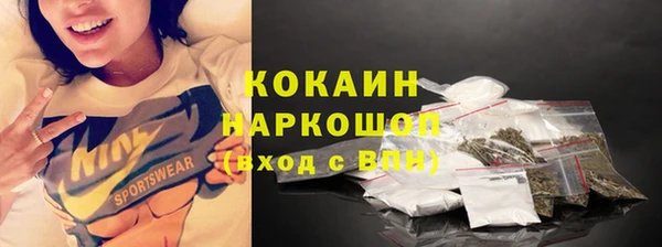 стаф Алзамай