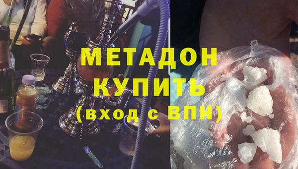стаф Алзамай