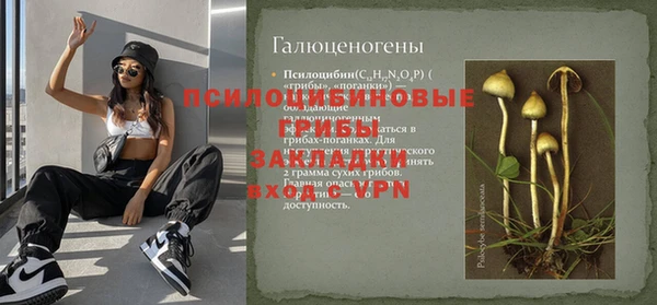 spice Алексин