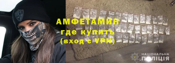 стаф Алзамай