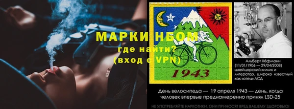 стаф Алзамай